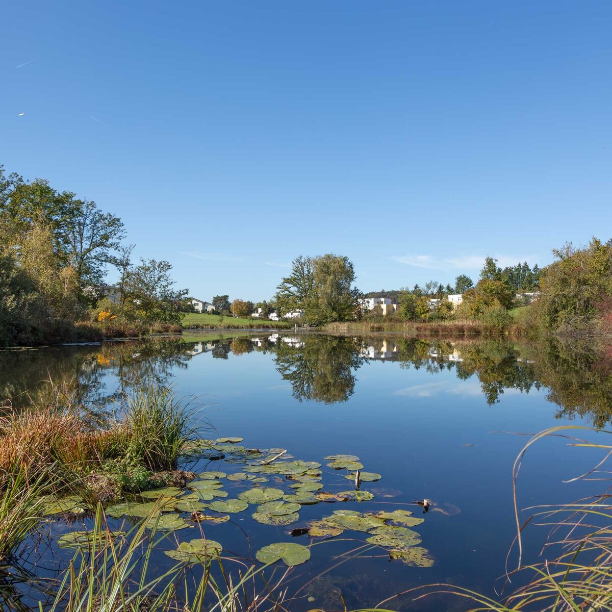 Galerie - Impressionen